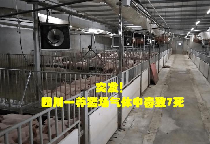 ������������ж�����